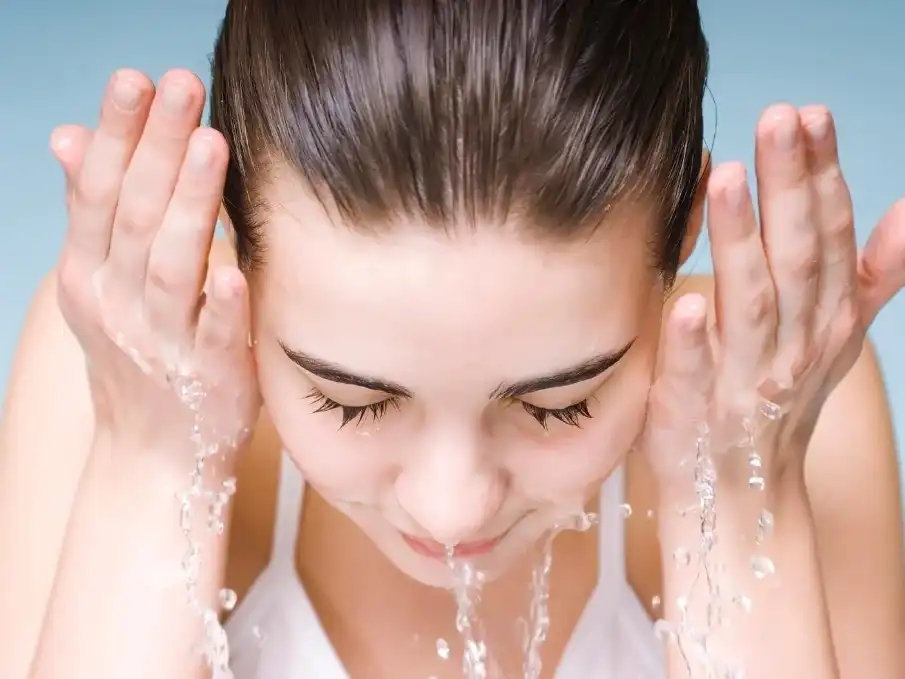 Persimmon Extract Powder Persimmon Extract Powder