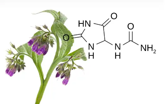 Allantoin powder Allantoin powder