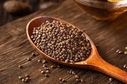 Perilla seed extract Perilla seed extract