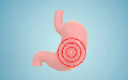 Perilla seed extract Perilla seed extract