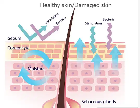 Ceramide powder Ceramide powder