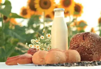 Polydextrose powder Polydextrose powder