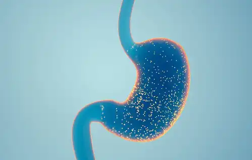 Berberine Hydrochloride Berberine Hydrochloride