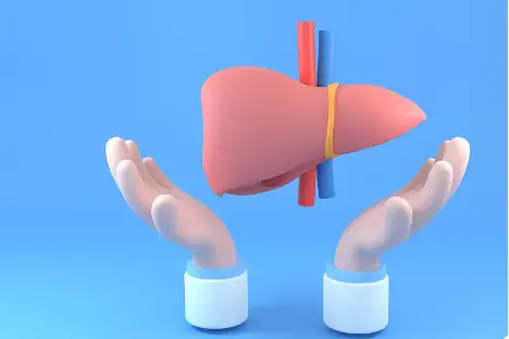 Guava leaf extract powder Guava leaf extract powder