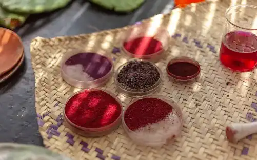 Carmine cochineal Carmine cochineal