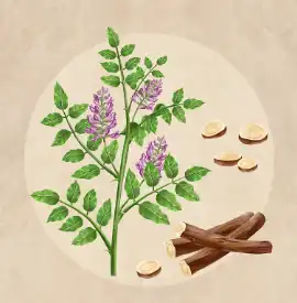 Glycyrrhizinate Powder Glycyrrhizinate Powder