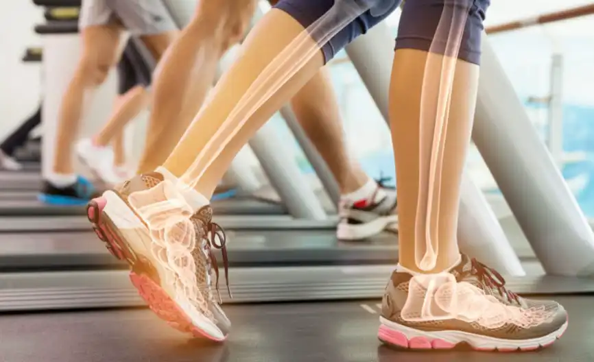 Vitamin K1 powder Vitamin K1 powder