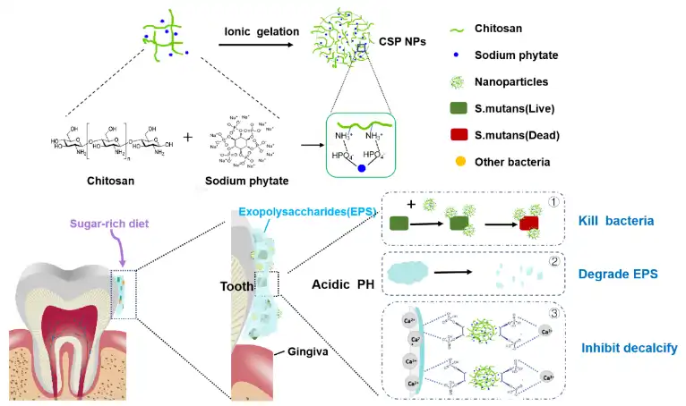 Sodium phytate Sodium phytate