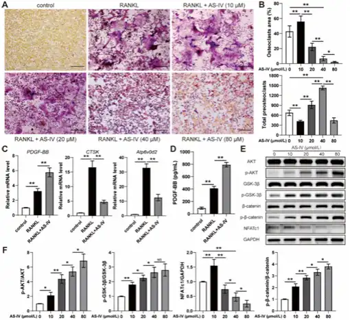 Astragaloside IV Powder Astragaloside IV Powder