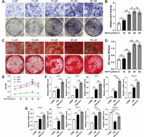 Astragaloside IV Powder Astragaloside IV Powder