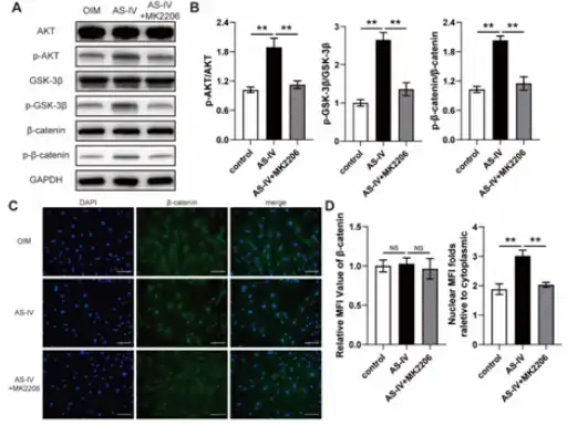 Astragaloside IV Powder Astragaloside IV Powder