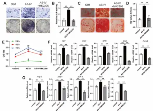 Astragaloside IV Powder Astragaloside IV Powder