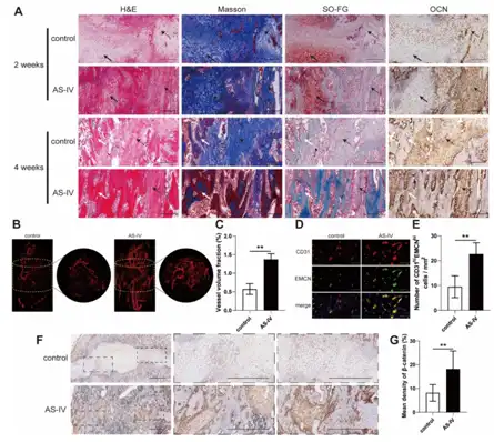 Astragaloside IV Powder Astragaloside IV Powder
