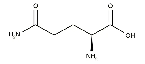 Bulk Glutamine Powder Bulk Glutamine Powder