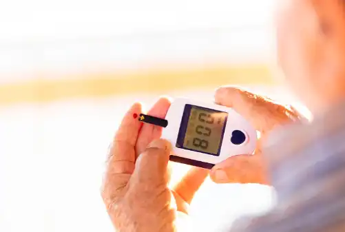 Hoodia Gordonii Extract Hoodia Gordonii Extract