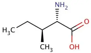 L-Isoleucine Powder L-Isoleucine Powder