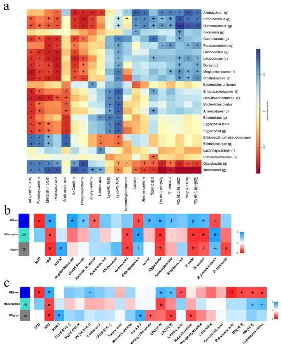 Glycerol Monolaurate Glycerol Monolaurate