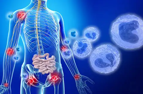 serrapeptase serrapeptase