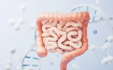 Bulk Monk Fruit Extract Bulk Monk Fruit Extract