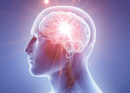 Osmanthus powder Osmanthus powder