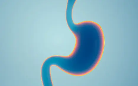 Ocimum Basilicum Extract Ocimum Basilicum Extract