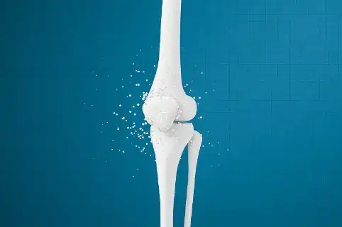 Bulk Glucosamine Powder Bulk Glucosamine Powder