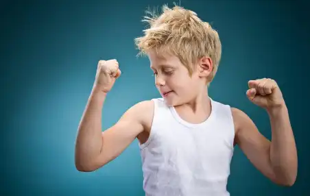 product-452-286 product-452-286