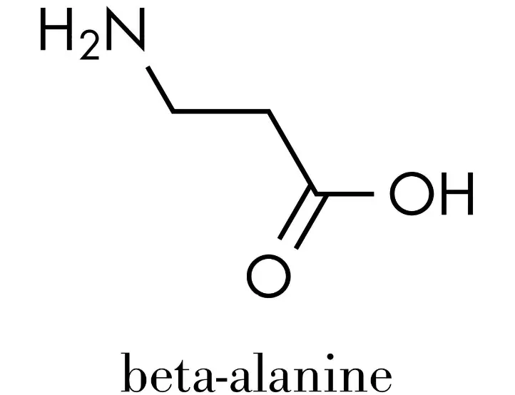 Bulk Beta-Alanine Powder Bulk Beta-Alanine Powder