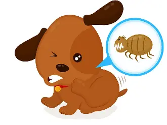 Bulk Ivermectin Powder Bulk Ivermectin Powder