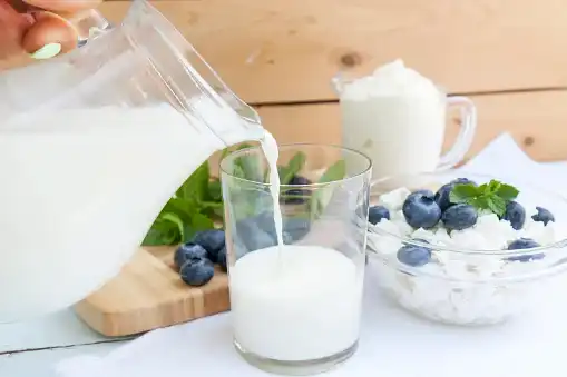 Lactase Powder Bulk Lactase Powder Bulk