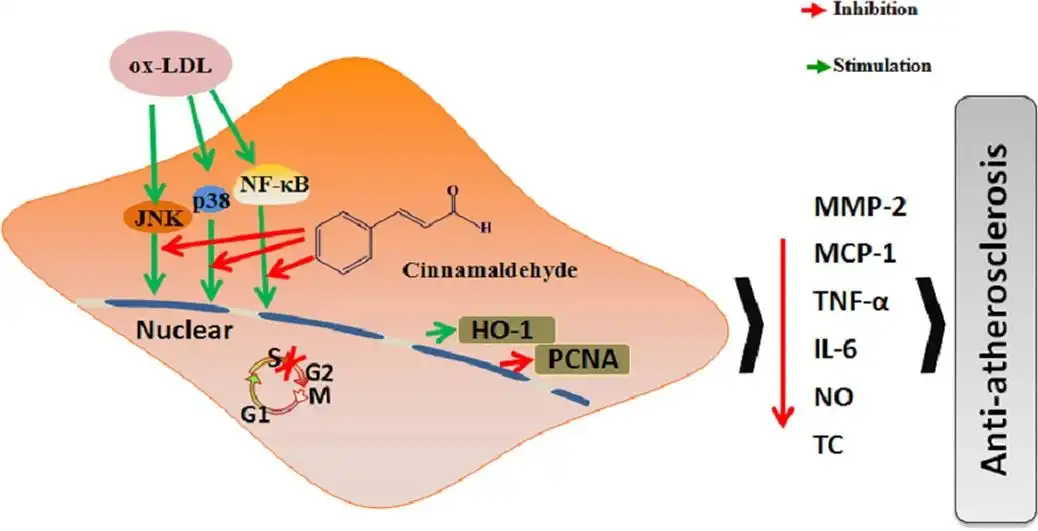 Cinnamic aldehyde Cinnamic aldehyde