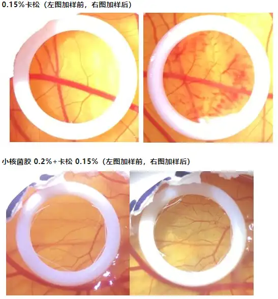 Sclerotium Gum Powder Sclerotium Gum Powder