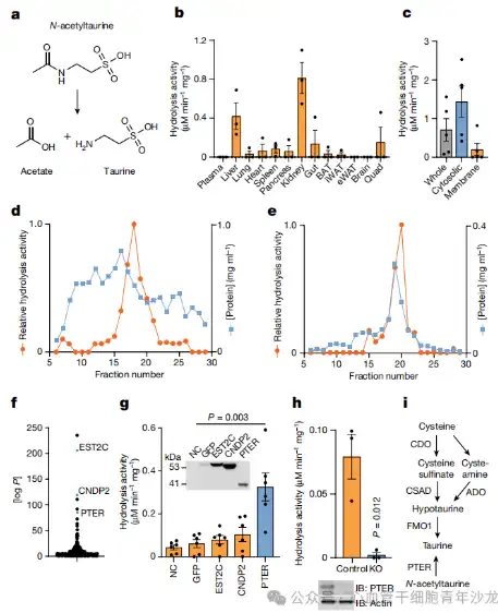 Bulk Taurine Powder Bulk Taurine Powder
