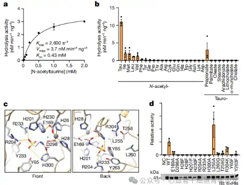 Bulk Taurine Powder Bulk Taurine Powder