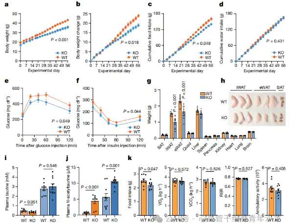 Bulk Taurine Powder Bulk Taurine Powder