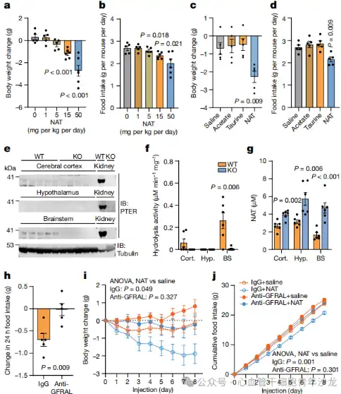Bulk Taurine Powder Bulk Taurine Powder