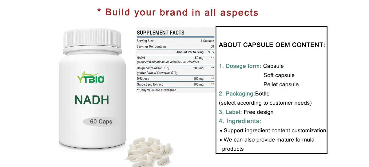 NADH Powder NADH Powder