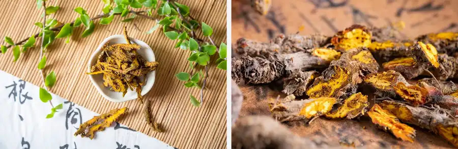 Berberine hydrochloride powder Berberine hydrochloride powder