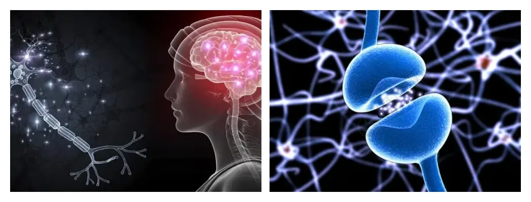 product-1-1 product-1-1