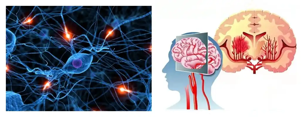 product-1-1 product-1-1