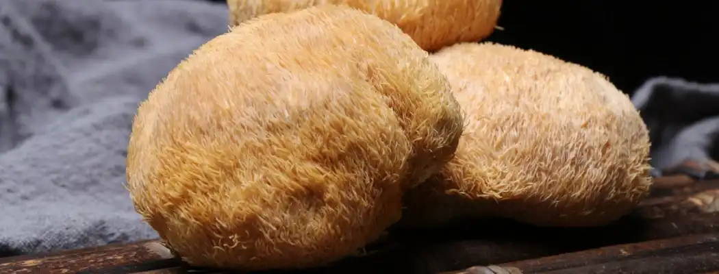 product-1-1 product-1-1