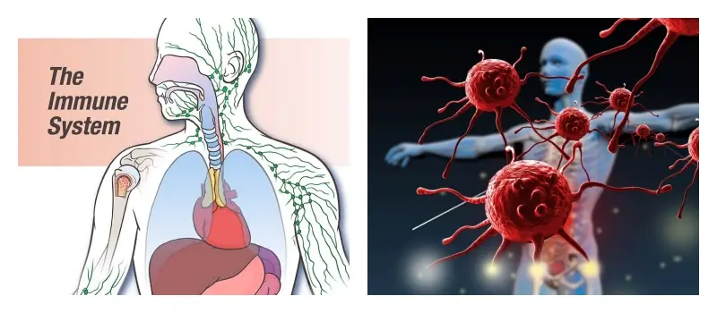 product-1-1 product-1-1