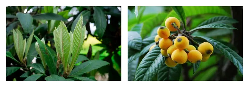 product-1-1 product-1-1