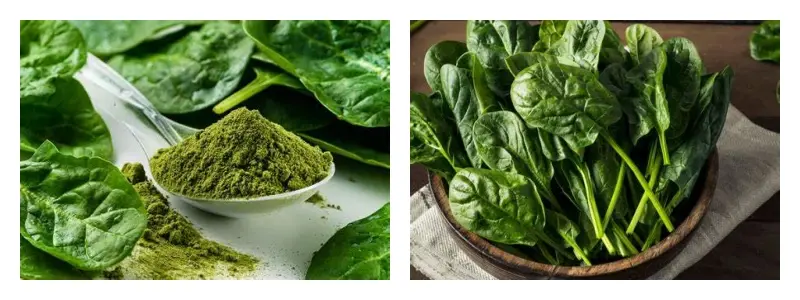 product-1-1 product-1-1