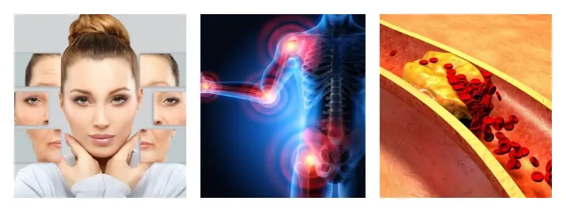 product-1-1 product-1-1