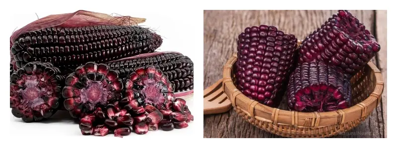 product-1-1 product-1-1