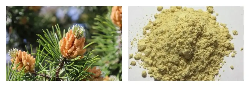 product-1-1 product-1-1