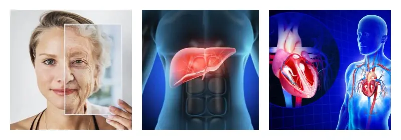 product-1-1 product-1-1