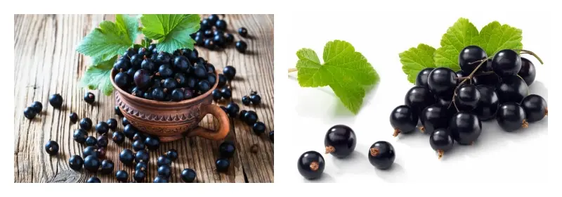 product-1-1 product-1-1