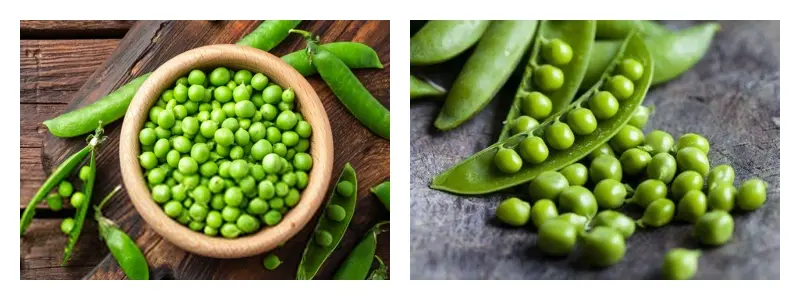product-1-1 product-1-1